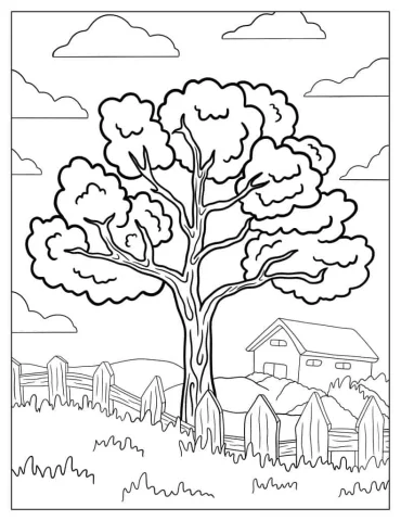 Detailed Tree Next To a Fence To Color