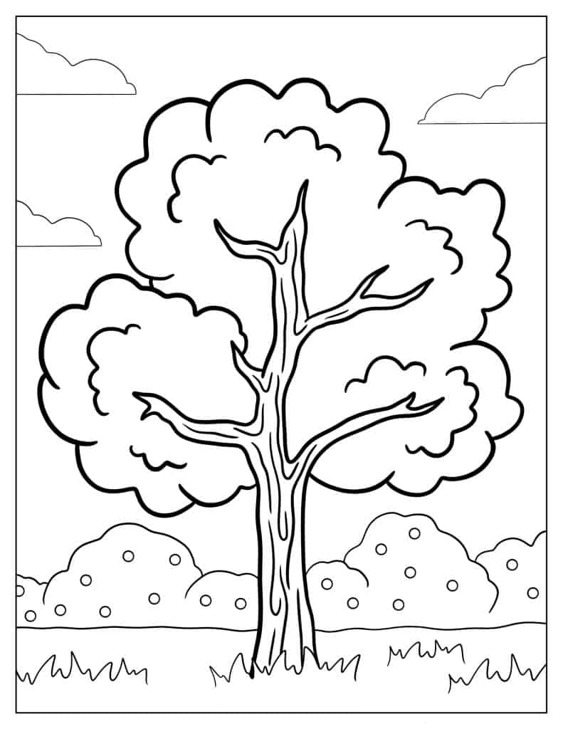 Easy To Color Tree With Busy Leaves