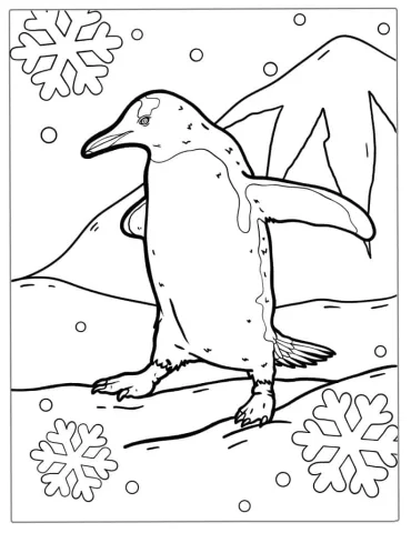Cute Chinstrap Penguin Coloring Page