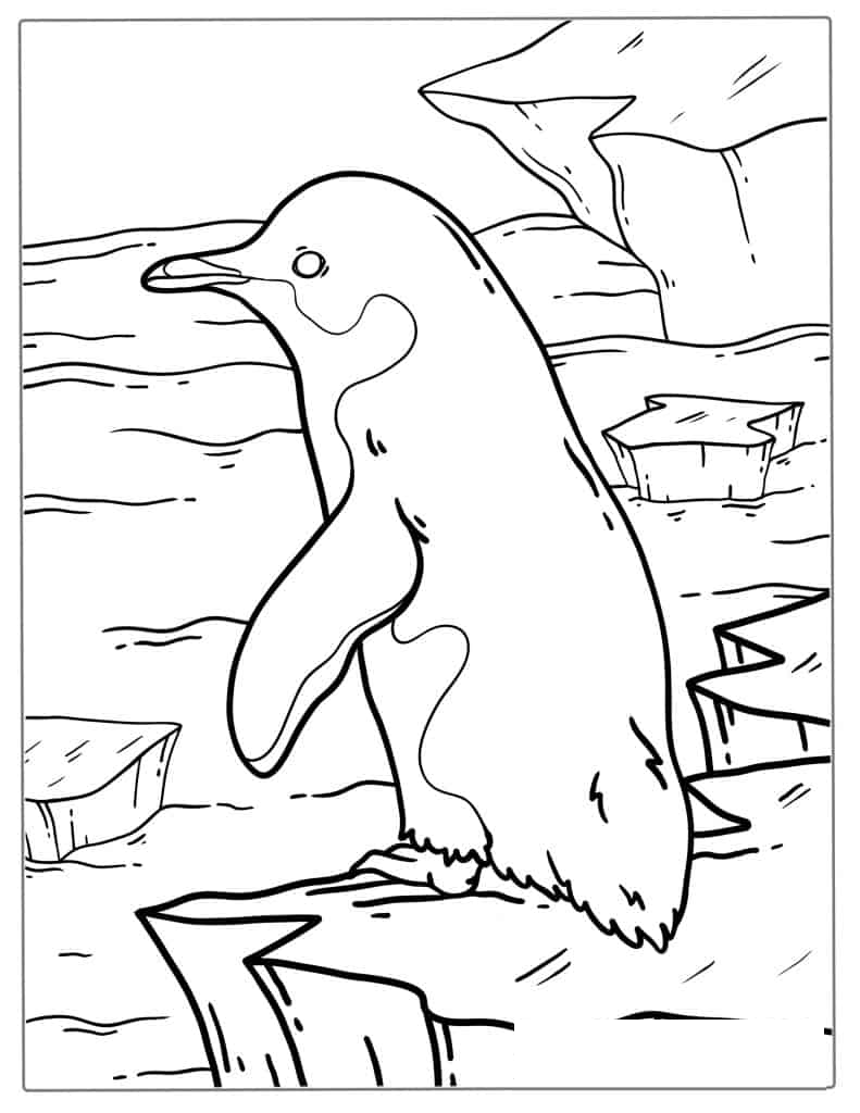 Little Blue Penguin Coloring Page For Preschoolers