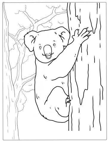 Smiling Koala Climbing Gum Tree