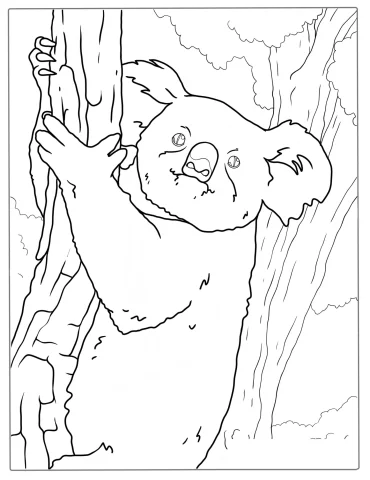 Shaggy Koala Climbing Tree Coloring Page