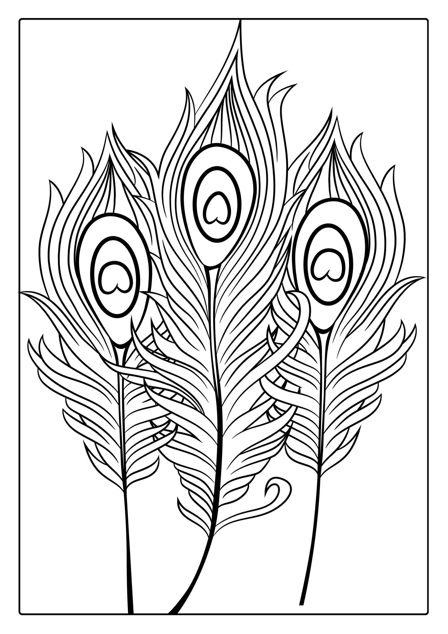Peacock Bird Feather Coloring In