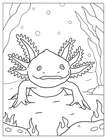 Realistic Axolotl Under The Sea