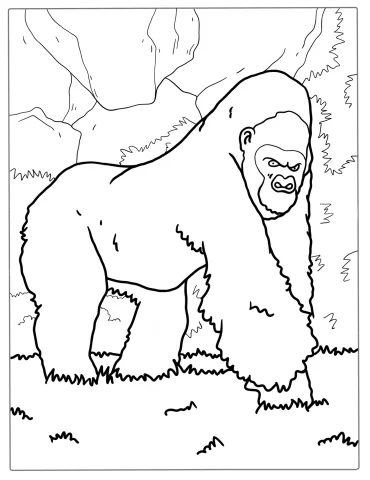 Big Silverback Gorilla Coloring Sheet
