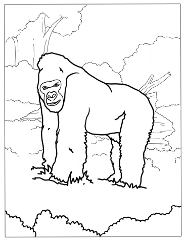 Silverback Gorilla Coloring Sheet