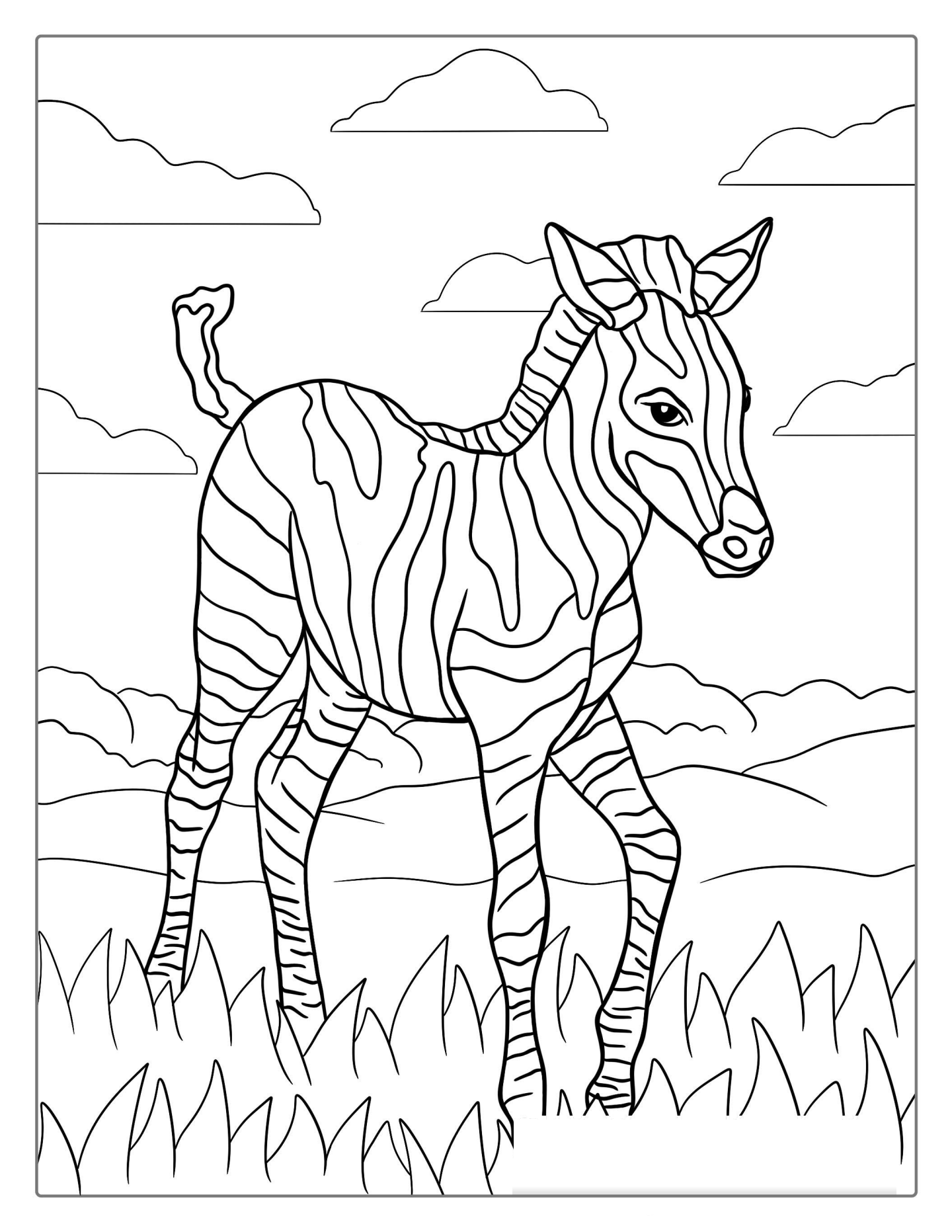Striped Baby Zebra To Color For Kids