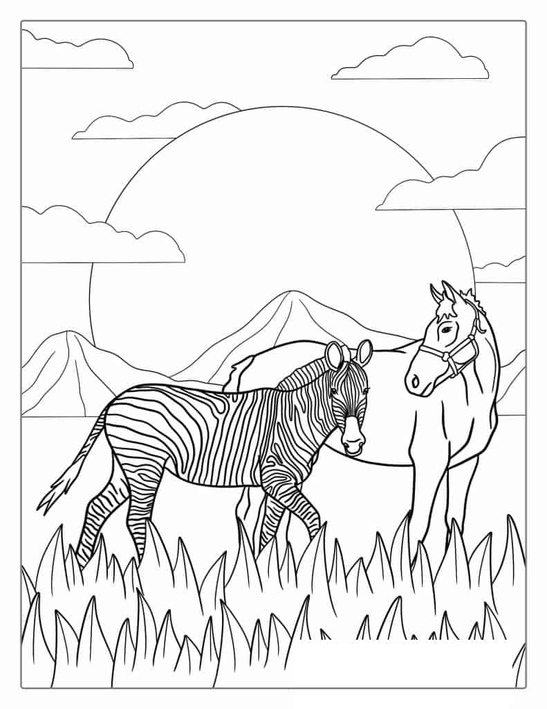 Horse Vs Zebra Coloring Page For Teachers
