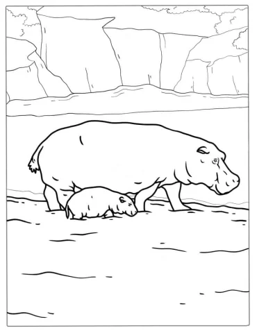 Mother And Baby Hippo To Color
