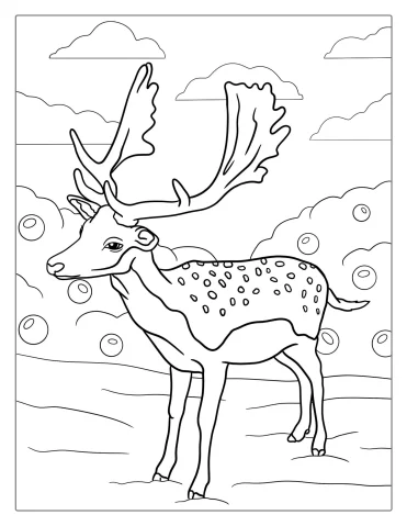 Fallow Deer Coloring Sheet For Kids