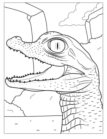 Baby Crocodile Coloring Page For Kids