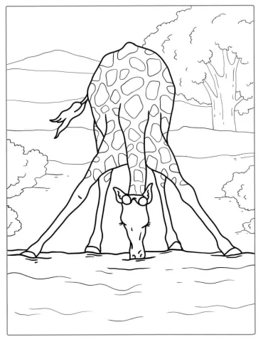 Giraffe Drinking From Watering Hole To Color