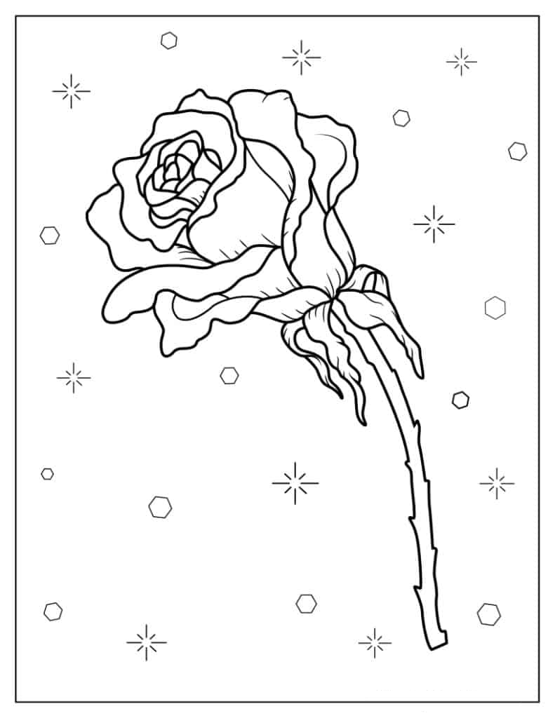 Easy Outline Of a Rose