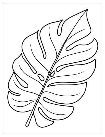 Monstera Tropical Leaf To Color