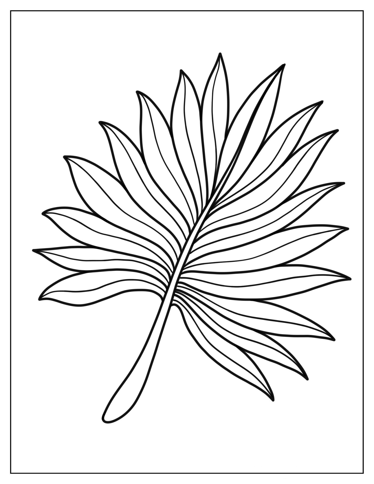Fan Shaped Leaf