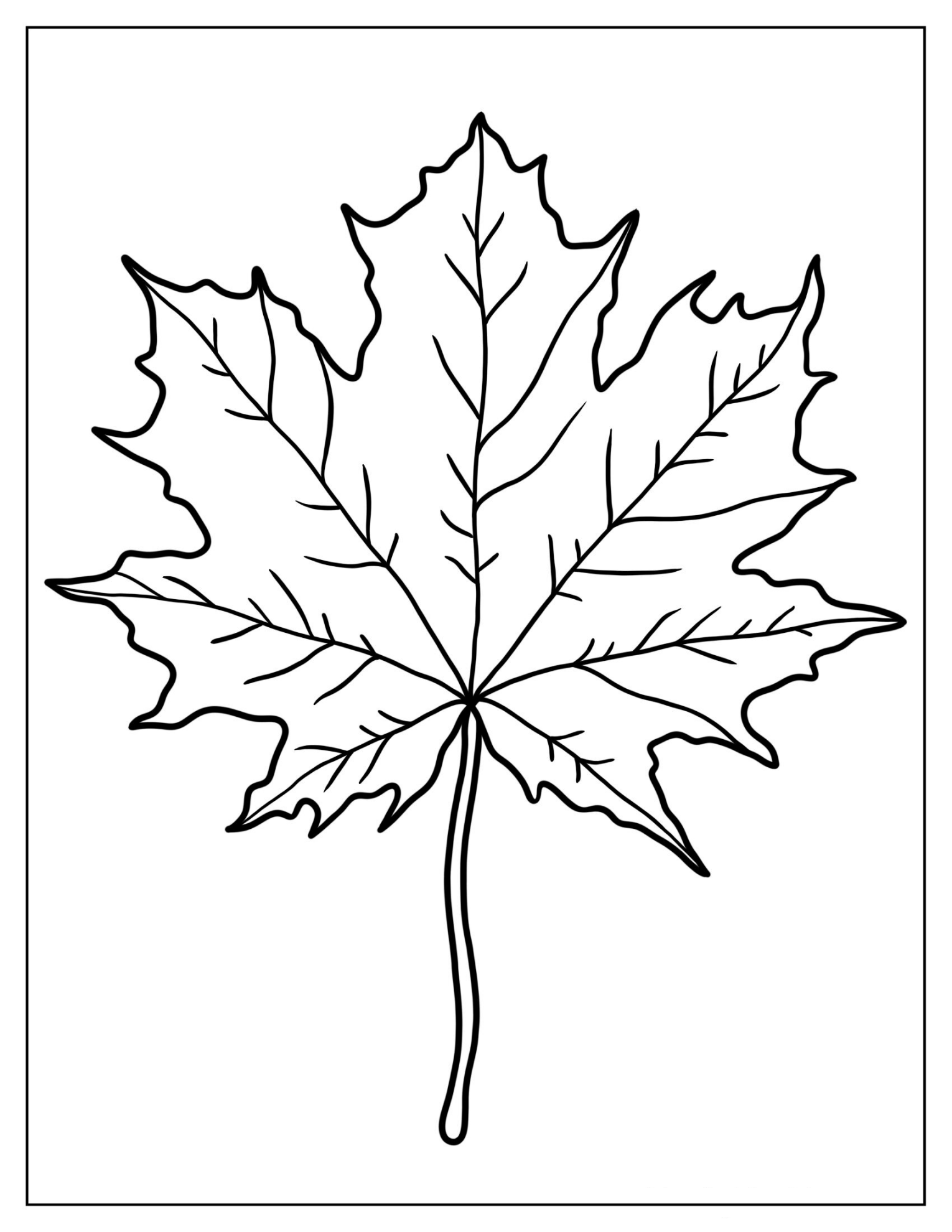 Canadian Maple Leaf