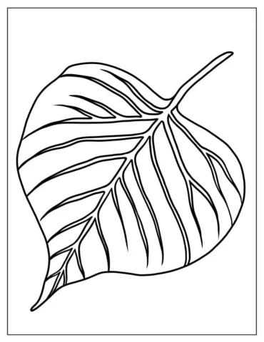 Large Aspen Leaf