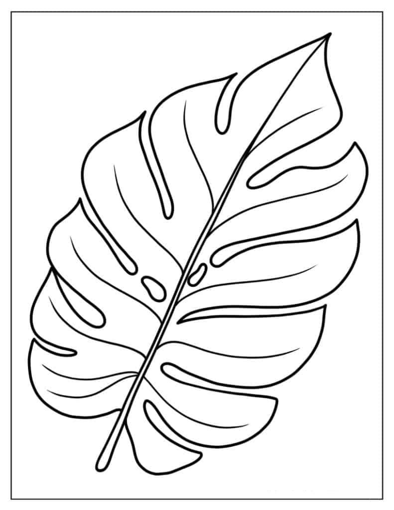 Monstera Tropical Leaf To Color