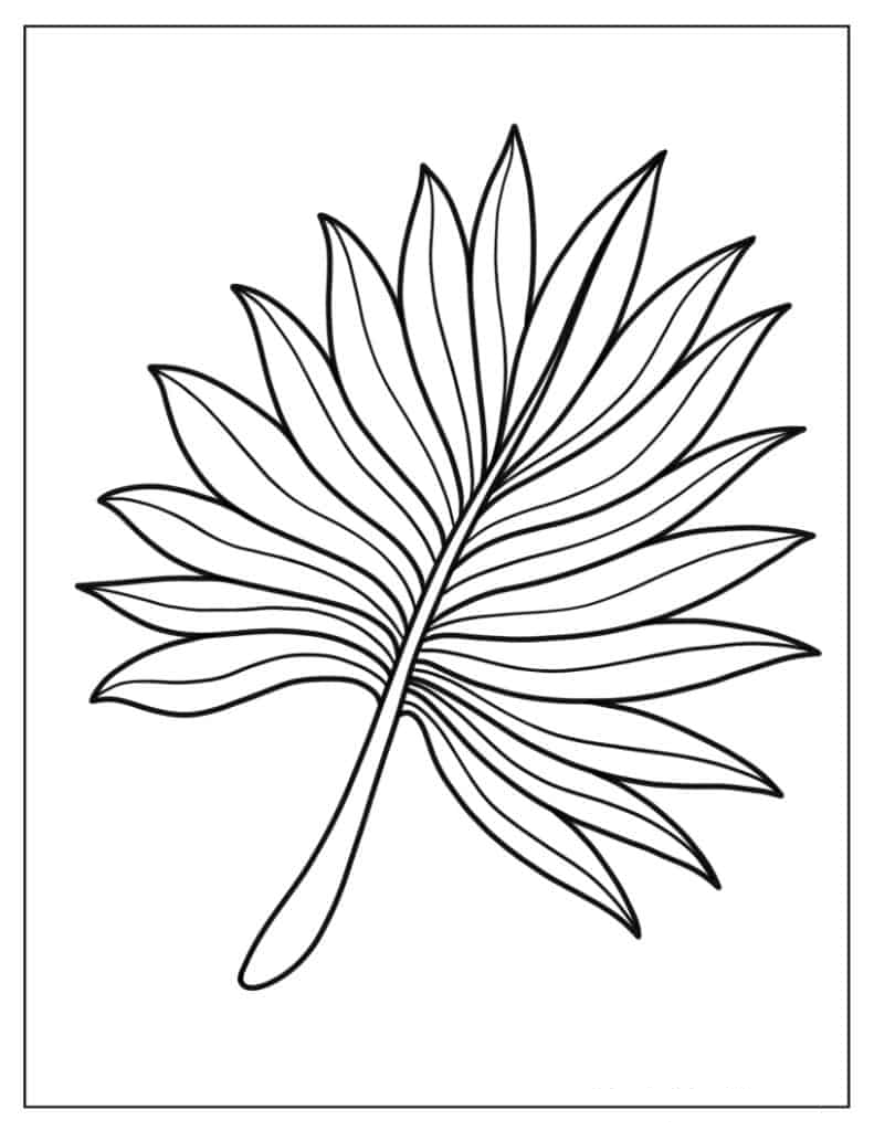 Fan Shaped Leaf