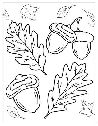 Easy To Color Oak Leaves With Acorns