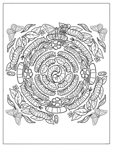 Caterpillar Life Cycle Mandala with Leaves and Butterflies