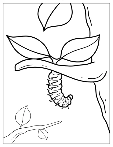 Coloring Page Of Caterpillar Hanging From Tree