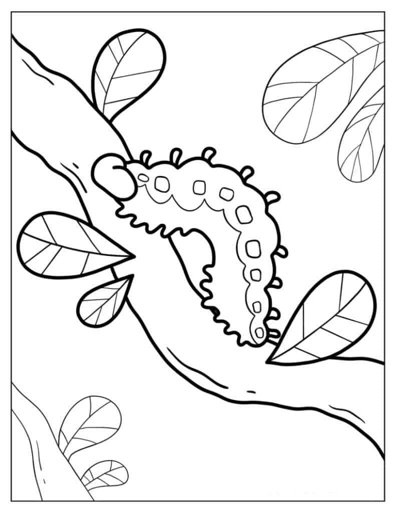 Caterpillar Walking Down Branch