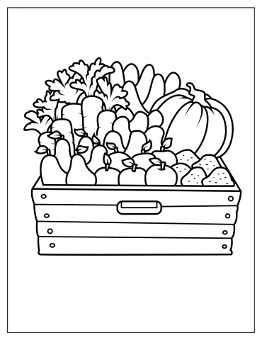Farm Harvest To Color