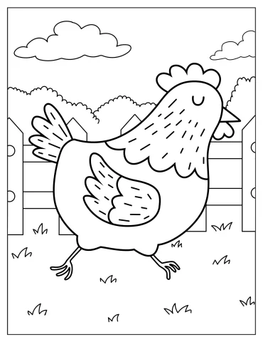 Egg Laying Chicken Walking Around Farm