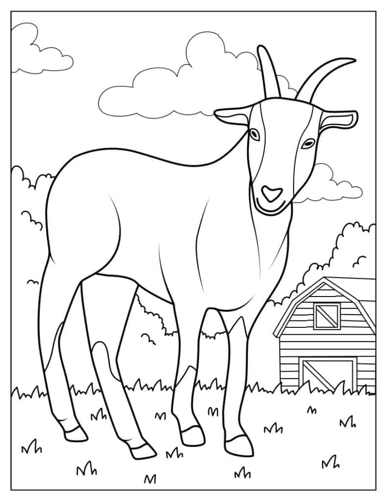 Farm Goat With Barn To Color