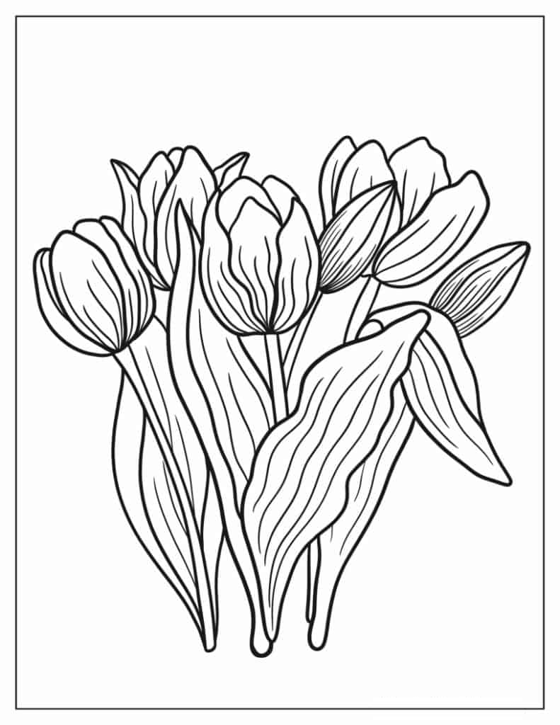 Kids Coloring Sheet Of Tulips
