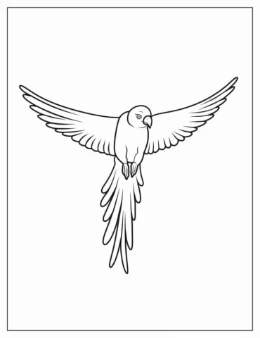 Simple Outline Of a Parrot Flying