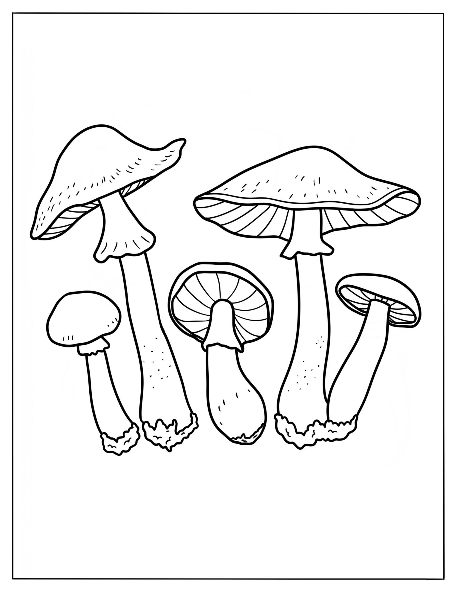 Honeycup Mushrooms Coloring Sheet