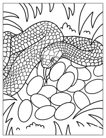 Mother Snake Protecting Eggs