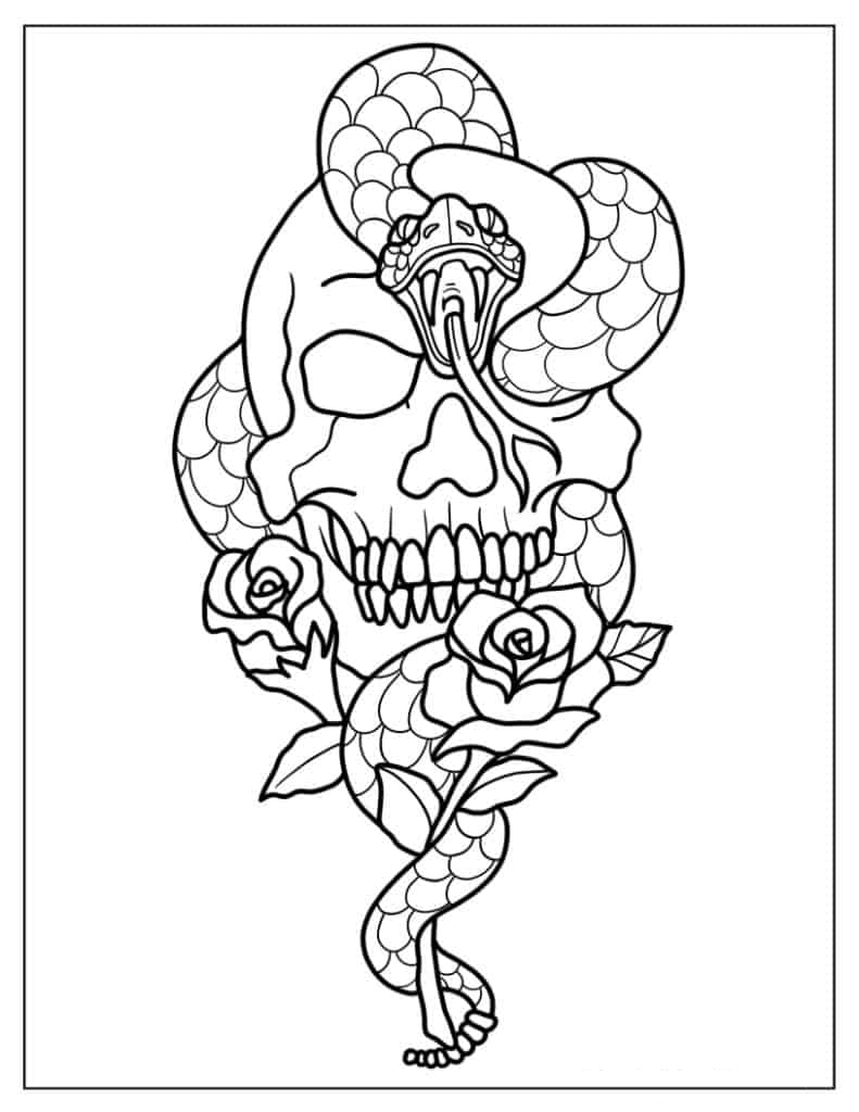 Skull And Snake Coloring Page