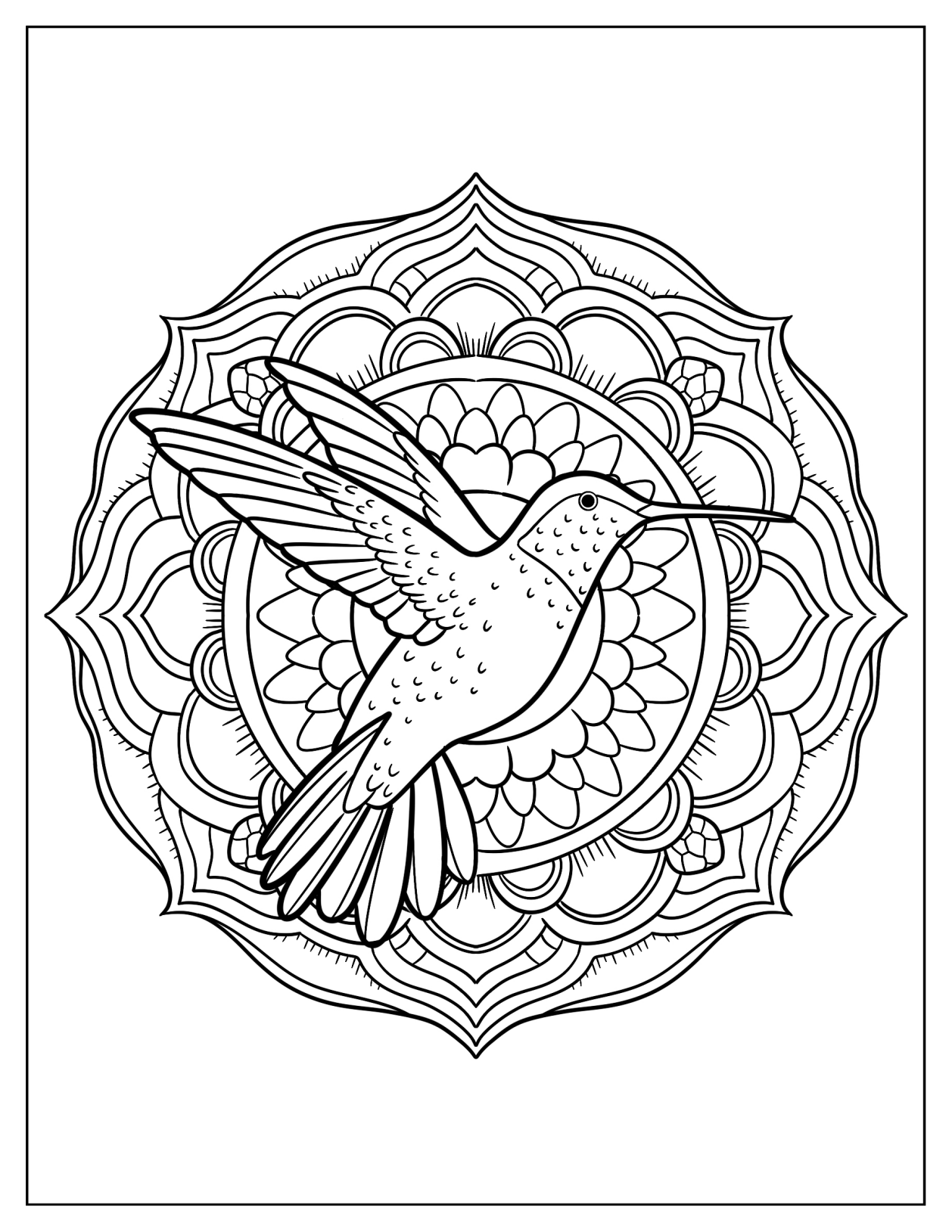 Elegant Hummingbird Mandala Coloring Page