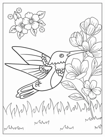 Easy Hummingbird For Preschoolers To Color