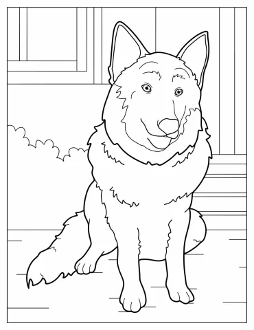 Outline Of Belgian Malinois Dog To Color