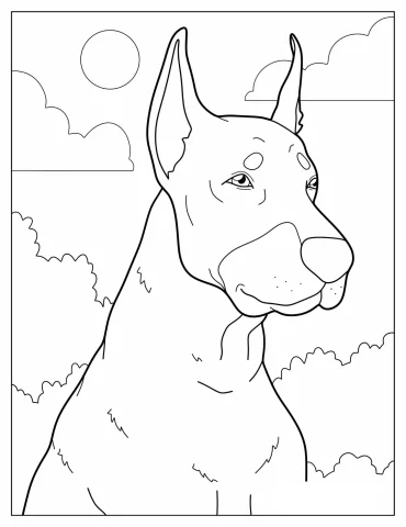 Close Up Of Alert Dobermann