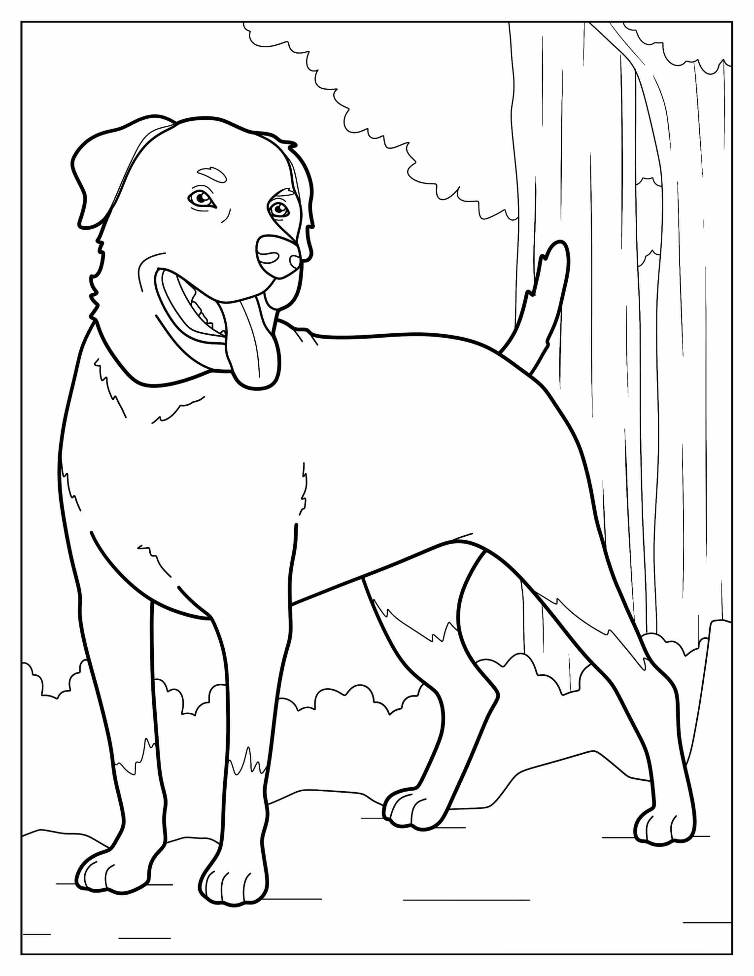 Rottweiler Dog Coloring Page