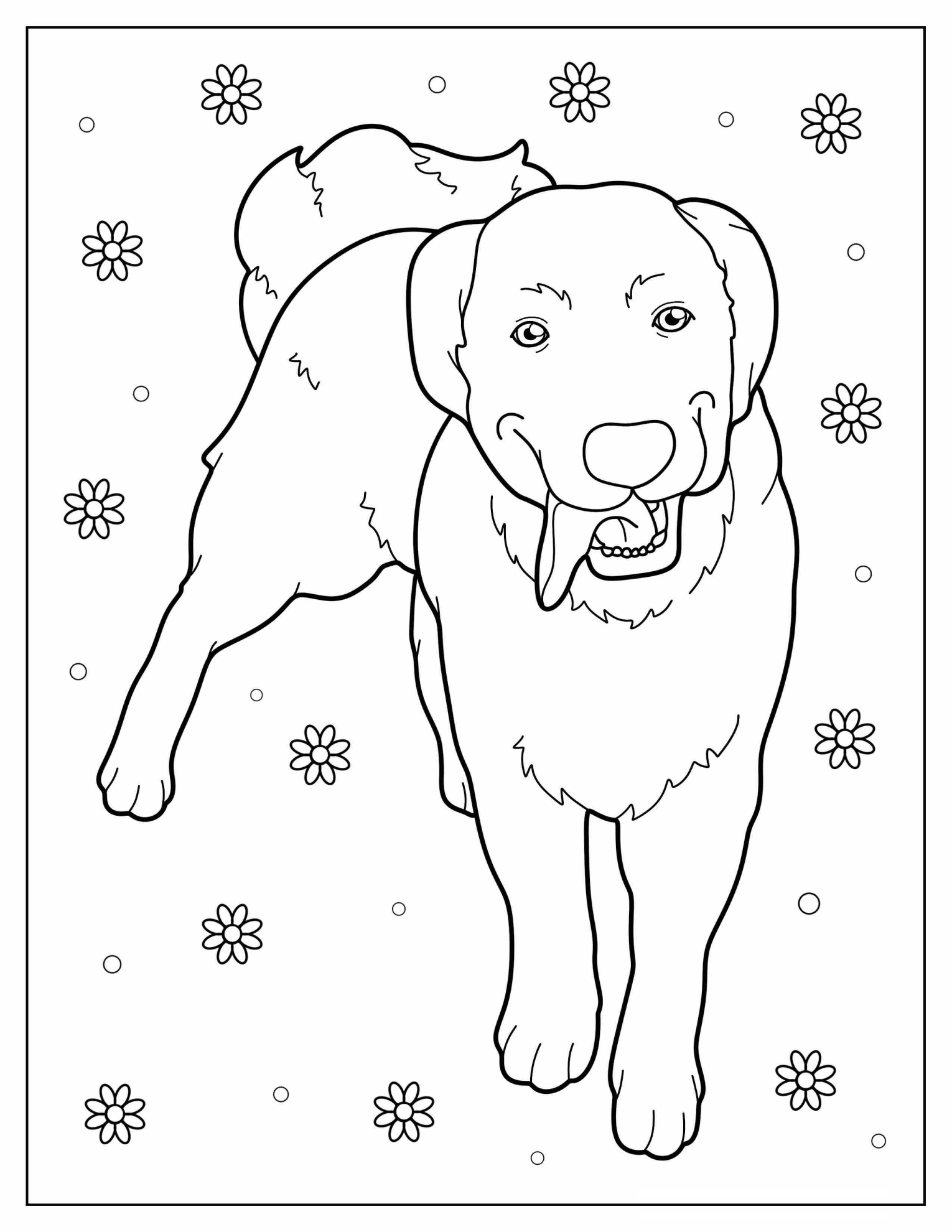 Coloring Sheet Of Labrador Retriever With Tongue Out