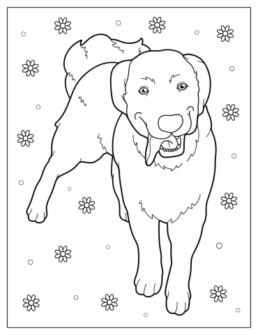 Coloring Sheet Of Labrador Retriever With Tongue Out
