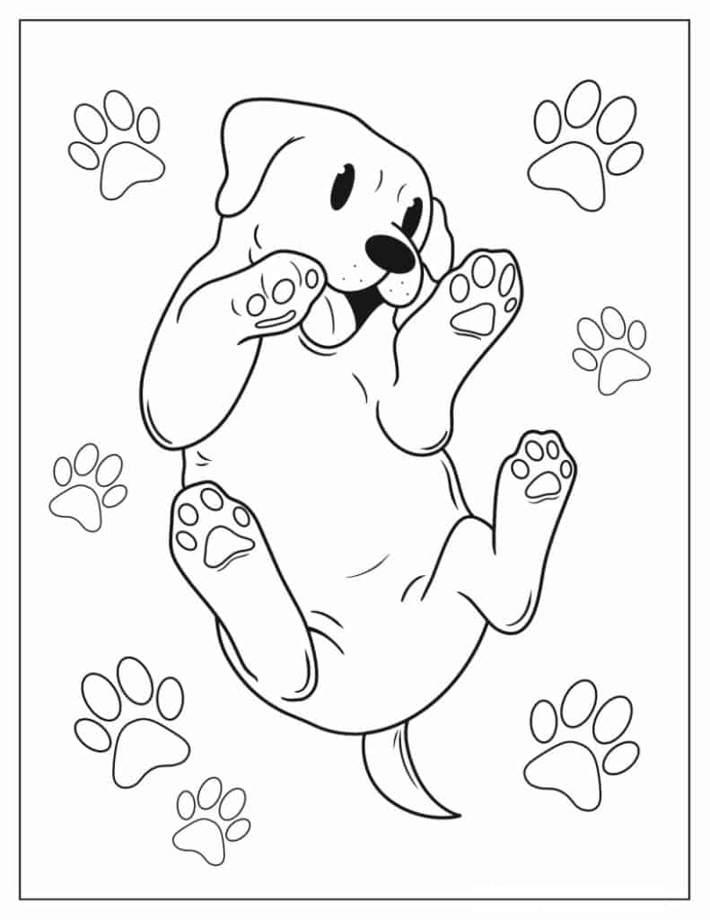 Puppy Rolling On the Floor