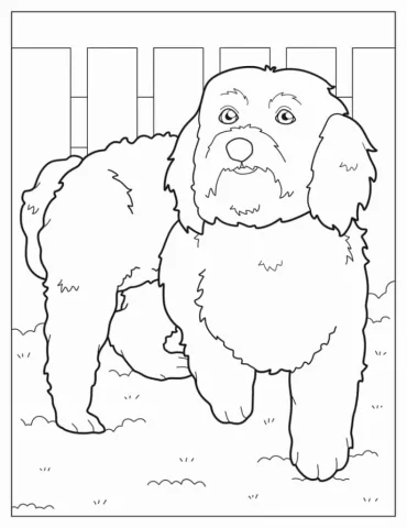 Coloring Sheet Of Maltese Dog With Paw Up