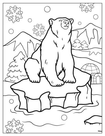 Adult Polar Bear On Piece Of Iceberg