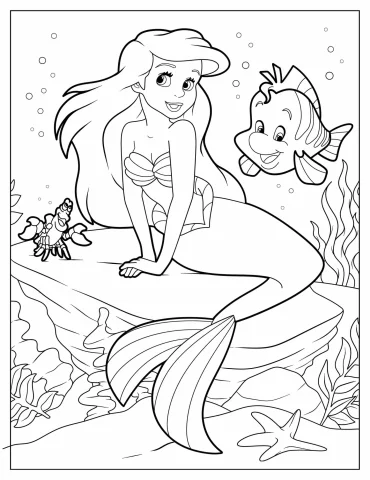Ariel Sitting On Rock