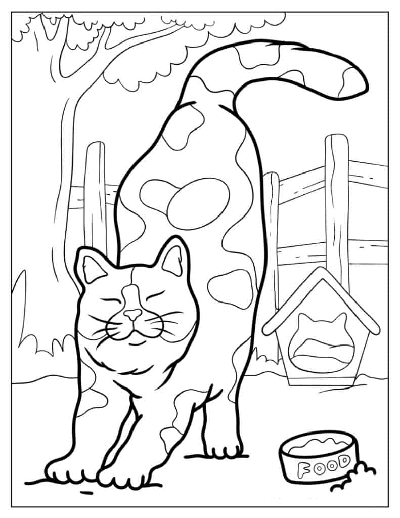 Spotted Cat Stretching In Backyard Coloring In