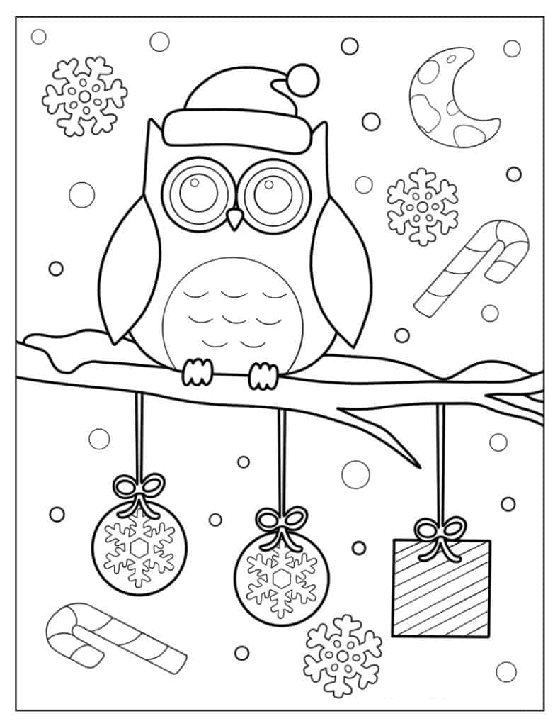 Owl Wearing Santa Hat In Winter Coloring Page