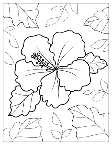 Shoeblackplant Flower In Full Bloom Coloring Sheet