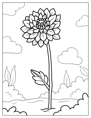 Chrysanthemum Flower In The Field Coloring Page